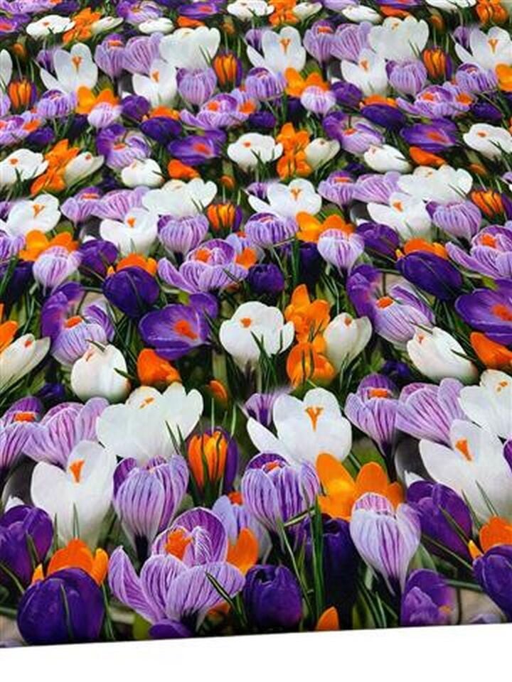 Çuha Çiçeği Desen Elbiselik Gömleklik Krep Kumaş