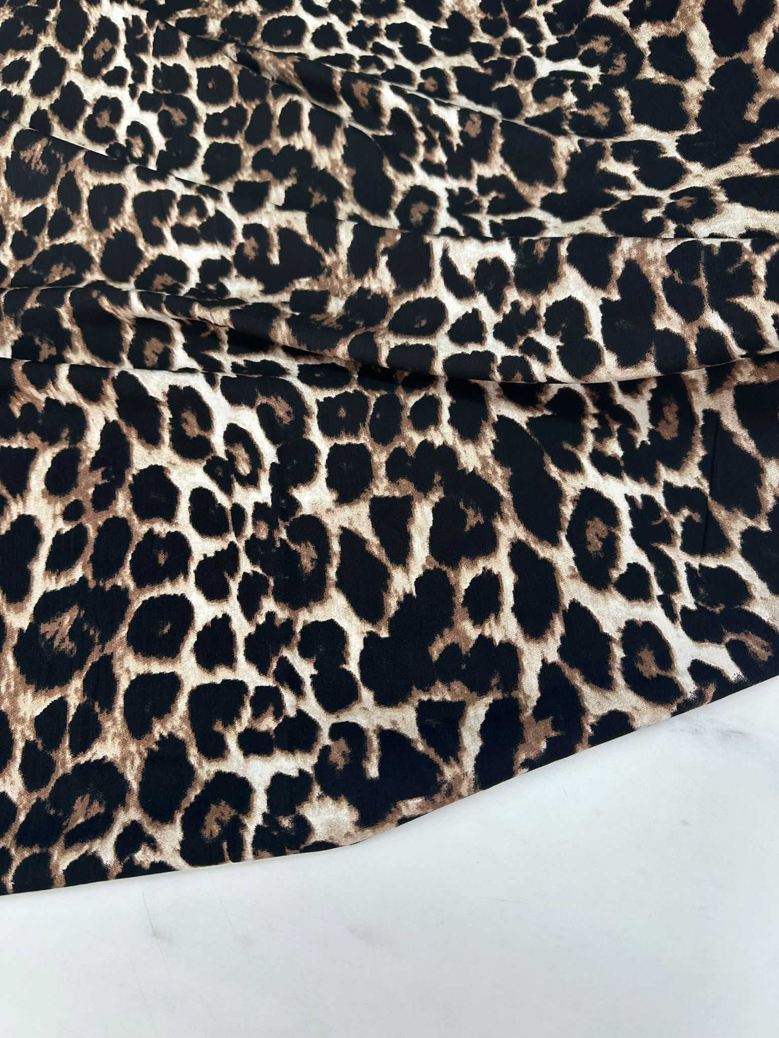Leopar Viskon